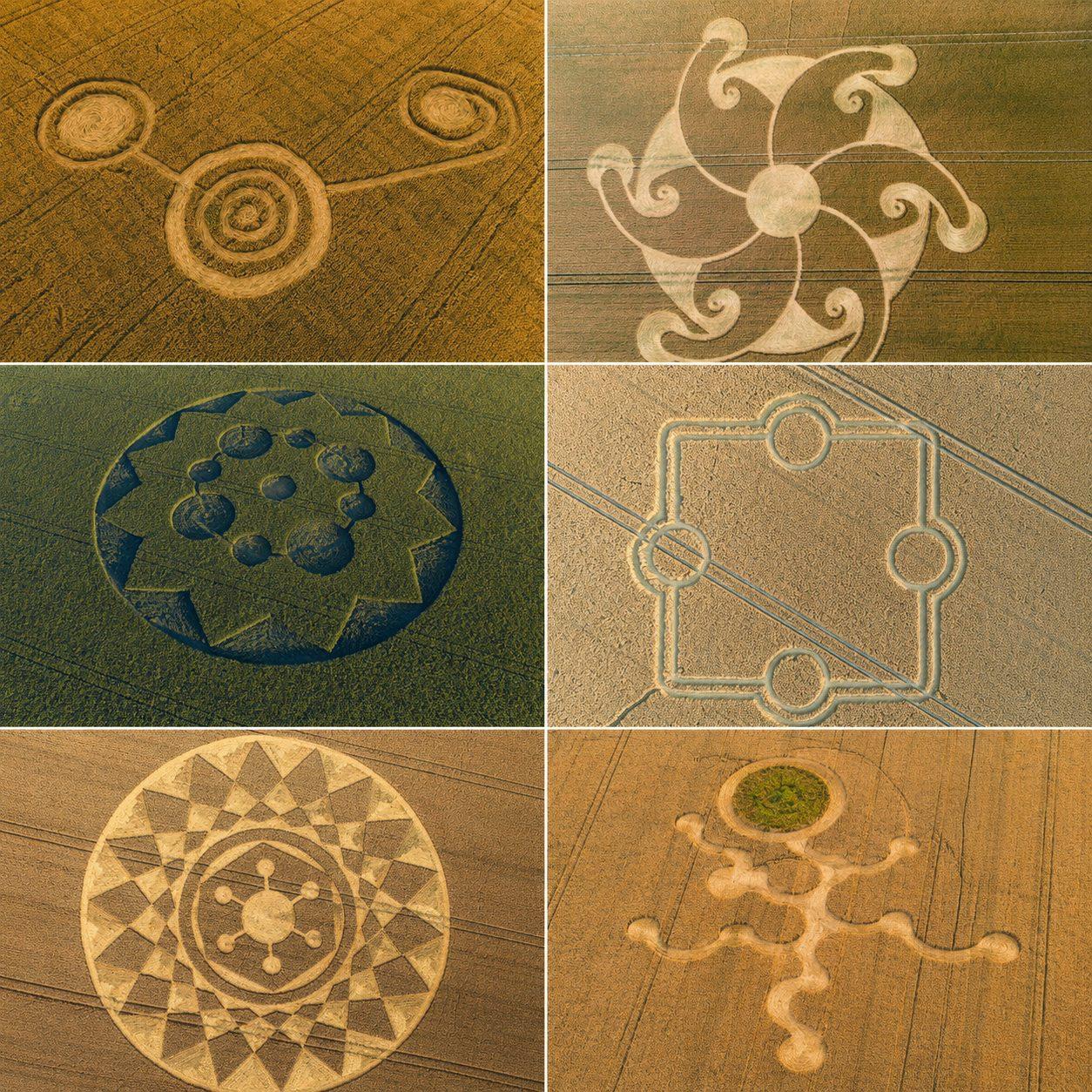 A square collage of several crop circle patterns